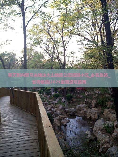春天到内蒙乌兰哈达火山地质公园旅游小吃