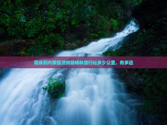 阳泉到内蒙额济纳胡杨林旅行社