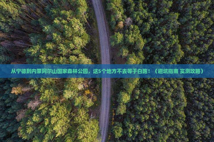 宁德去内蒙阿尔山国家森林公园必去地