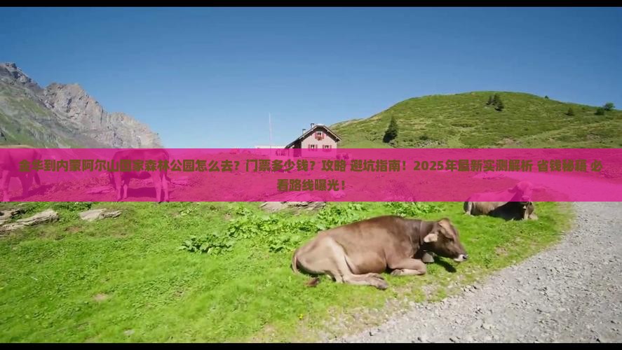 金华到内蒙阿尔山国家森林公园门票