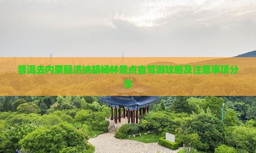 普洱去内蒙额济纳胡杨林景点