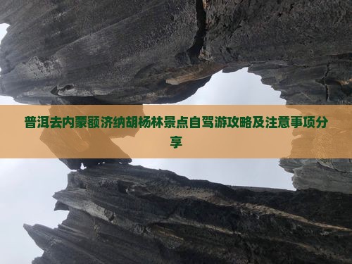 普洱去内蒙额济纳胡杨林景点