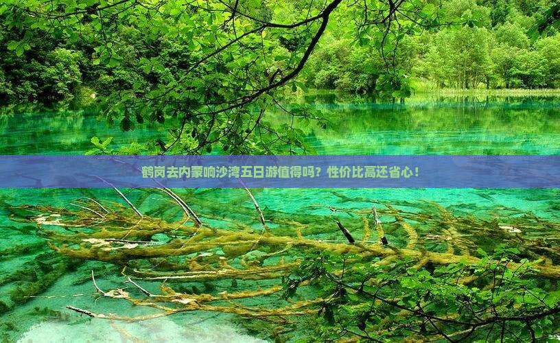 鹤岗去内蒙响沙湾五日游
