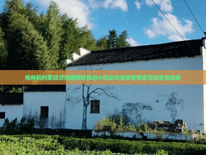 榆林到内蒙额济纳胡杨林旅游小吃