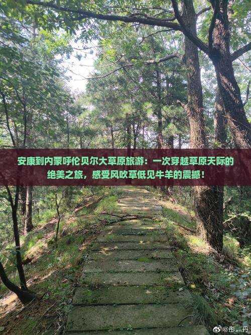 安康到内蒙呼伦贝尔大草原旅游