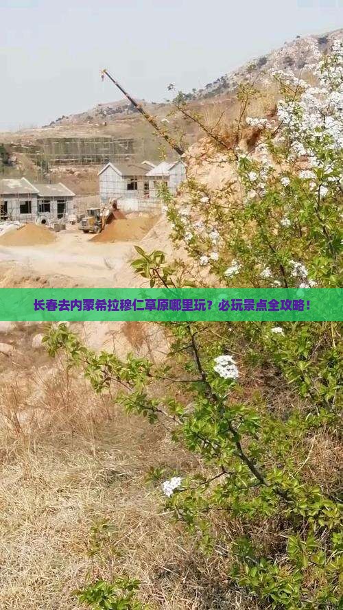 长春去内蒙希拉穆仁草原哪里玩