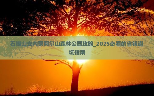 石嘴山去内蒙阿尔山国家森林公园攻略