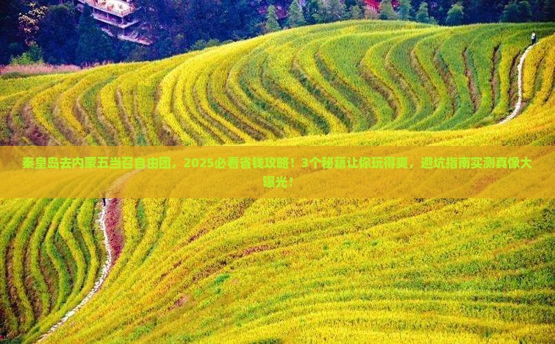 秦皇岛去内蒙五当召自由团