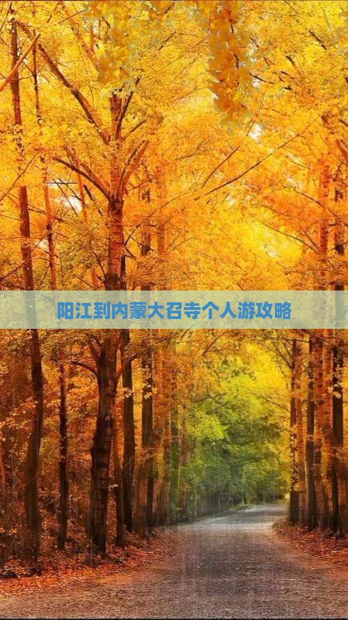 阳江到内蒙大召寺个人游