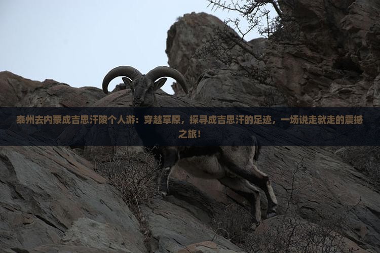 泰州去内蒙成吉思汗陵个人游