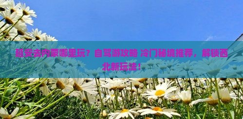 延安去内蒙哪里玩