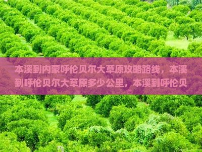本溪到内蒙呼伦贝尔大草原攻略