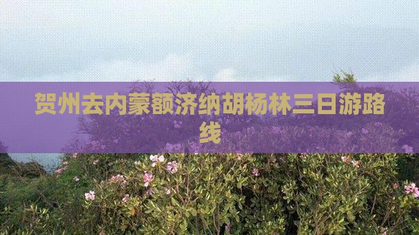 贺州去内蒙额济纳胡杨林三日游