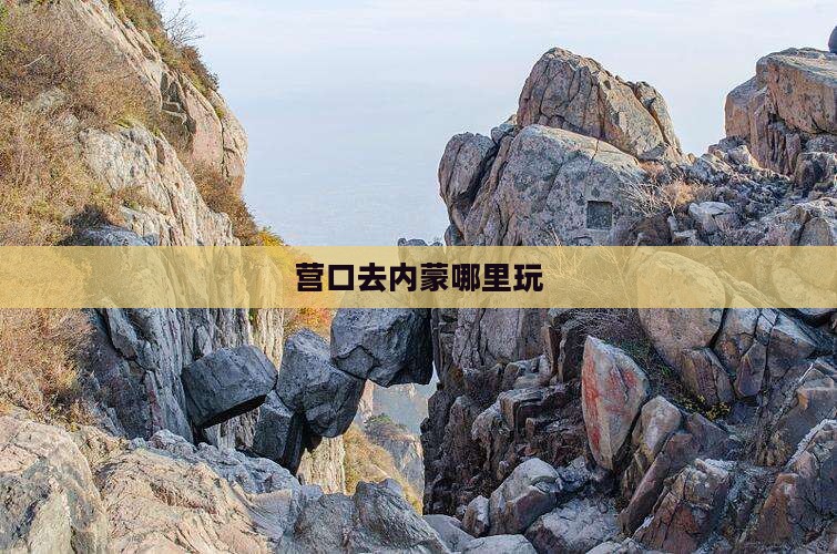 营口去内蒙哪里玩