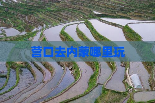 营口去内蒙哪里玩
