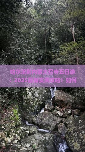 哈尔滨到内蒙大召寺五日游