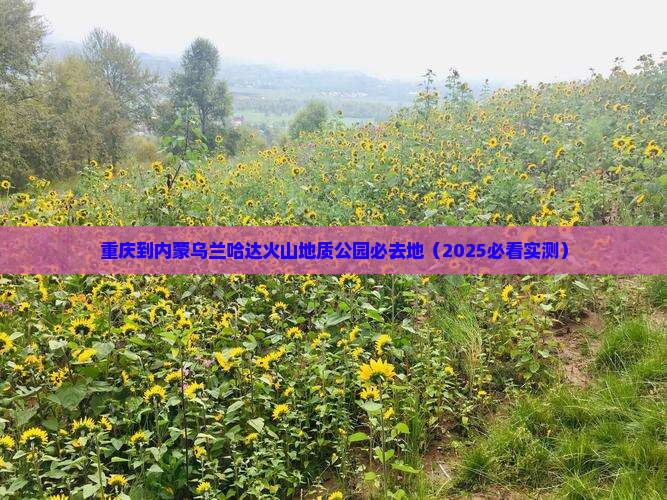 重庆到内蒙乌兰哈达火山地质公园必去地