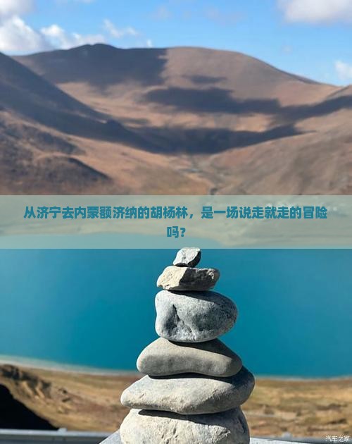 济宁到内蒙额济纳胡杨林自由行