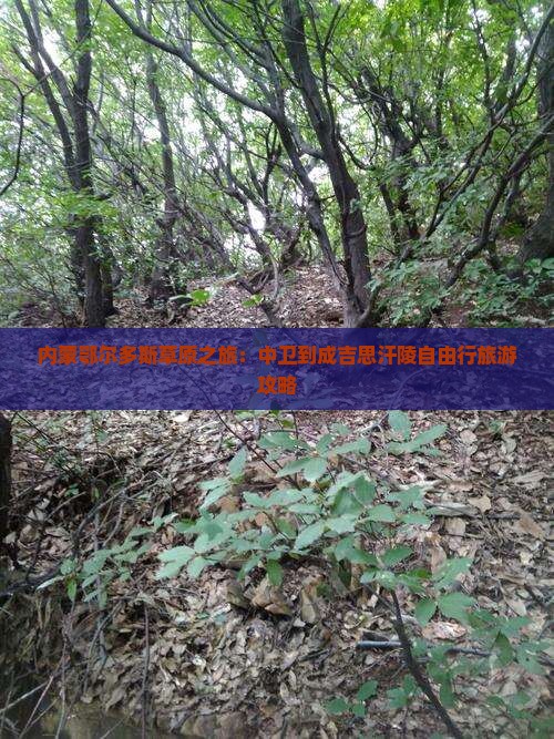 中卫到内蒙成吉思汗陵自由团