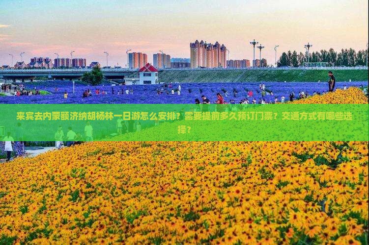 来宾去内蒙额济纳胡杨林一日游