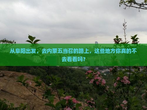 阜阳到内蒙五当召必去地