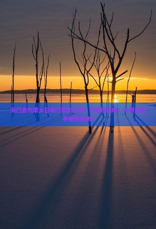 海口去内蒙大召寺门票