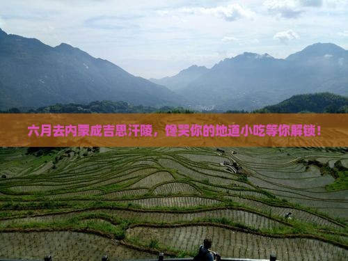 六月去内蒙成吉思汗陵旅游小吃