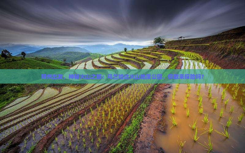 朔州到内蒙乌兰哈达火山地质公园自由行