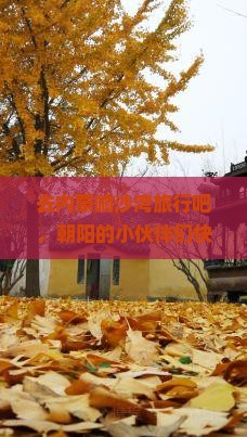 朝阳去内蒙响沙湾旅游