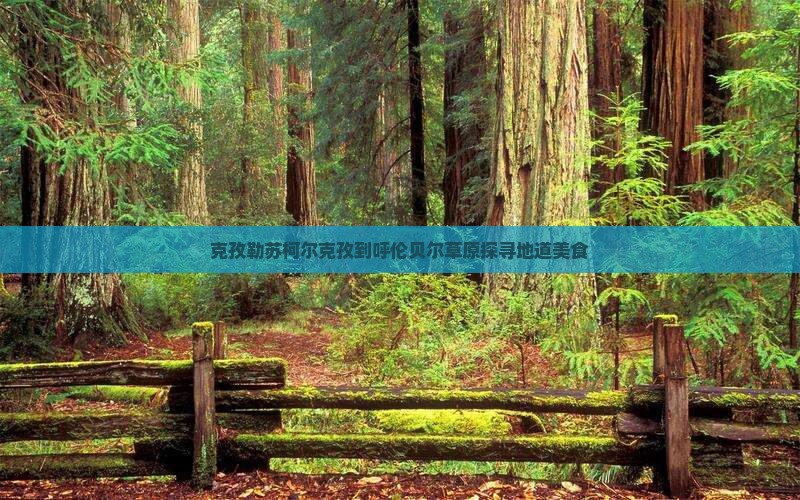 克孜勒苏柯尔克孜去内蒙呼伦贝尔大草原旅游小吃