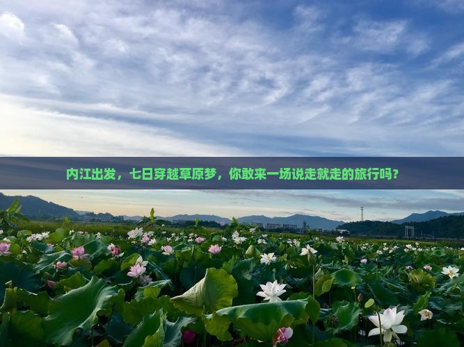 内江到内蒙希拉穆仁草原七日游