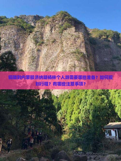 铜陵到内蒙额济纳胡杨林个人游
