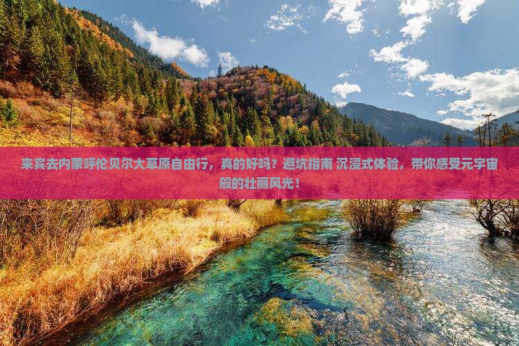 来宾去内蒙呼伦贝尔大草原自由行