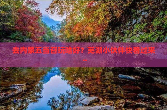 芜湖去内蒙五当召哪里玩