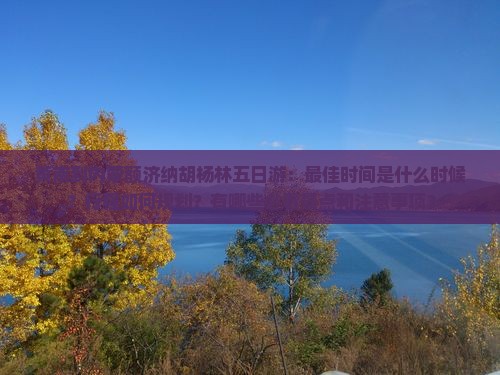 黄南到内蒙额济纳胡杨林五日游
