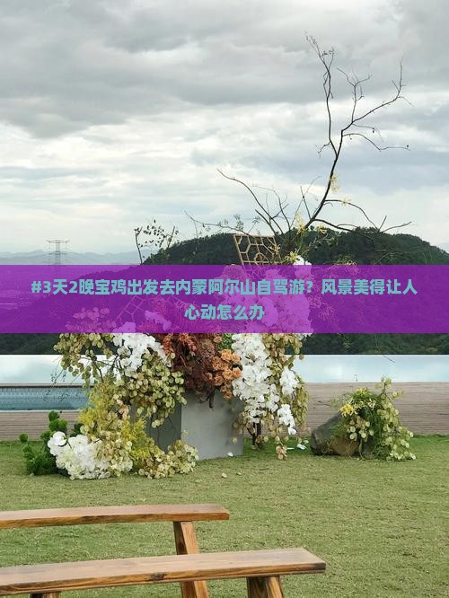 宝鸡去内蒙阿尔山国家森林公园七日游