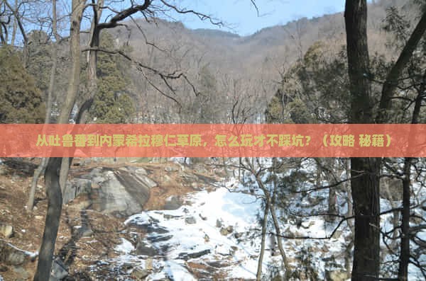 吐鲁番到内蒙希拉穆仁草原门票