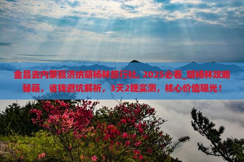 金昌去内蒙额济纳胡杨林旅行社
