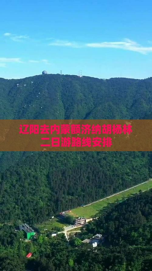 辽阳去内蒙额济纳胡杨林二日游