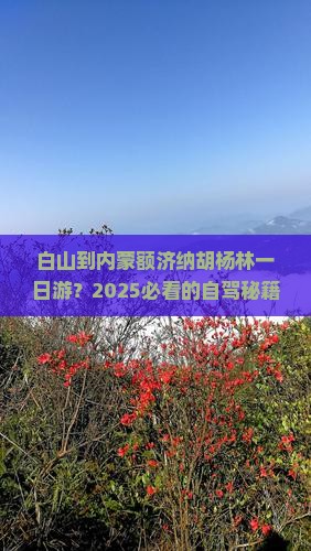 白山到内蒙额济纳胡杨林一日游