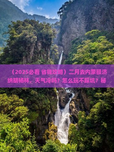 二月到内蒙额济纳胡杨林景点 二月到内蒙额济纳胡杨林景点