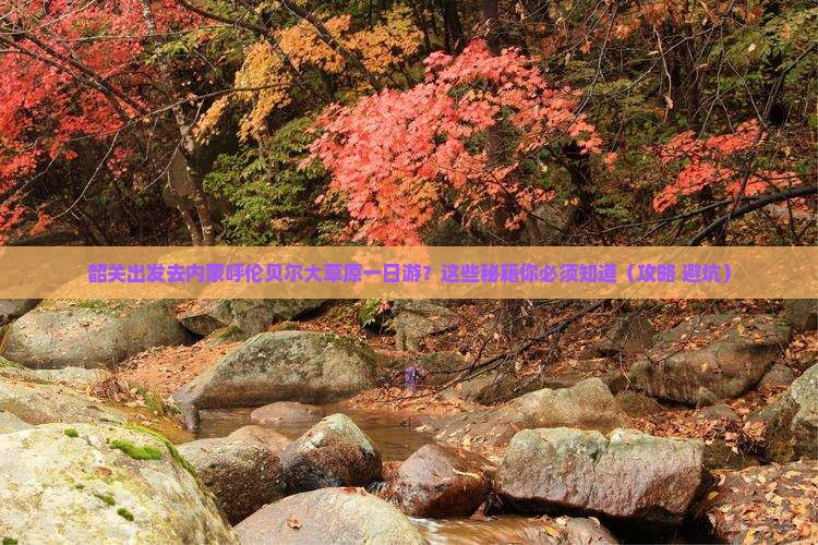 韶关去内蒙呼伦贝尔大草原一日游