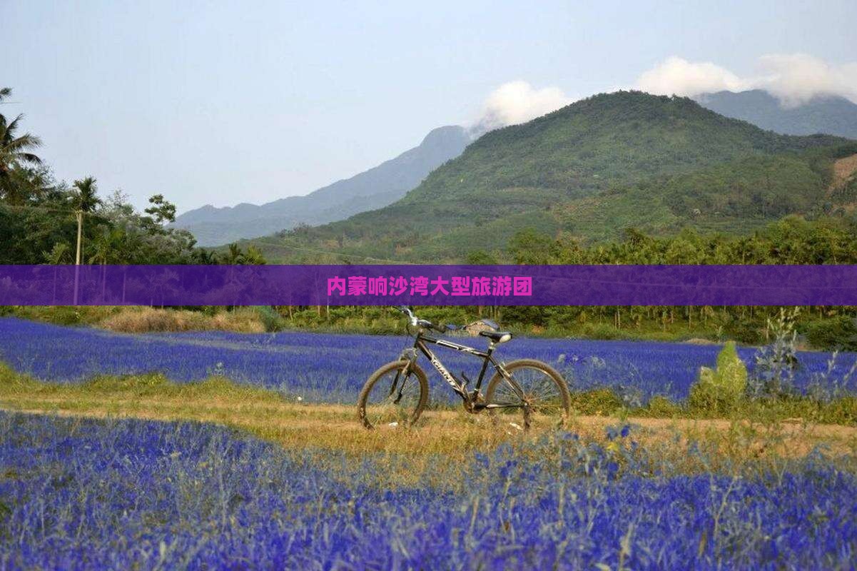 随州到内蒙响沙湾大型旅游团