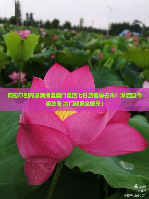 阿拉尔到内蒙满洲里国门景区七日游