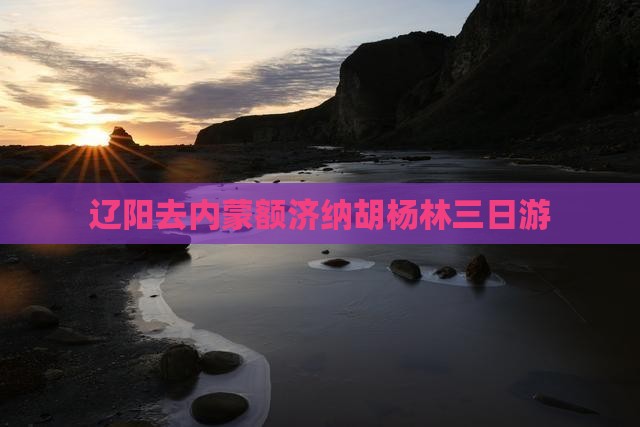 辽阳去内蒙额济纳胡杨林三日游