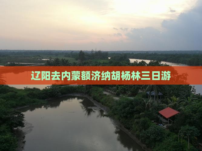 辽阳去内蒙额济纳胡杨林三日游