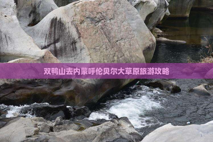双鸭山去内蒙呼伦贝尔大草原一日游