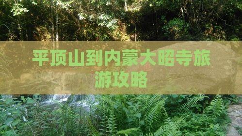 平顶山到内蒙大召寺大型旅游团