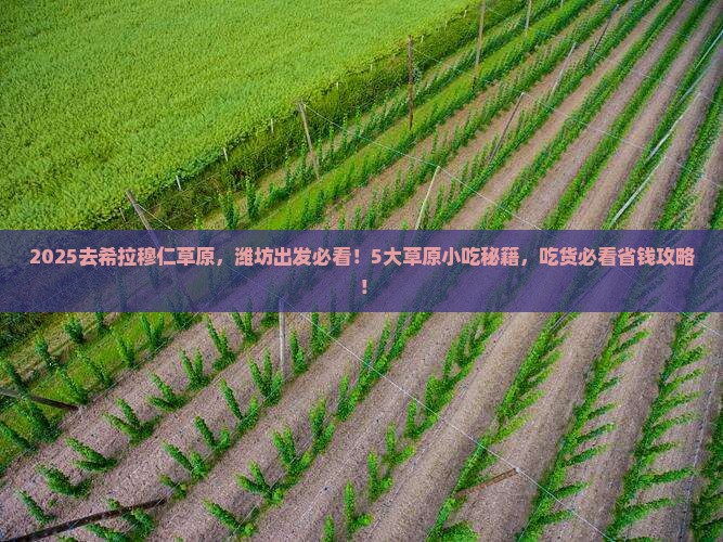 潍坊到内蒙希拉穆仁草原旅游小吃