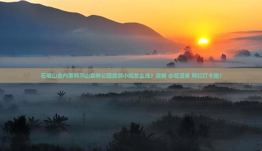 石嘴山去内蒙阿尔山国家森林公园旅游小吃